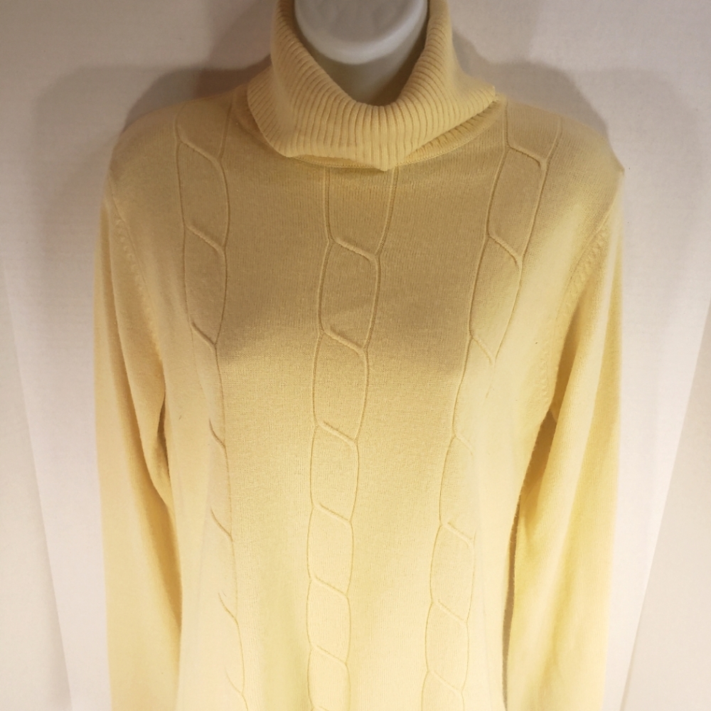 Women's Stephanie Andrews Acrylic Turtleneck